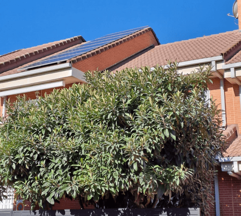 placas solares precio madrid