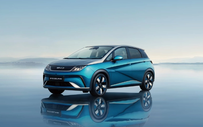 Cargador BYD Dolphin